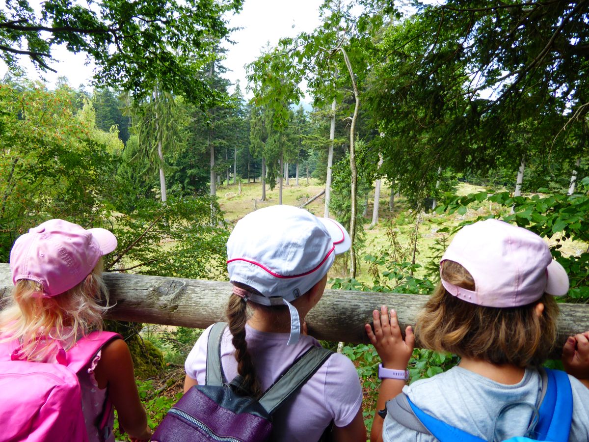 Natur hautnah erleben